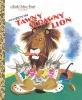 The_tawny_scrawny_lion