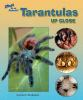 Tarantulas_up_close