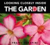 Looking_closely_into_the_garden