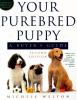 Your_purebred_puppy