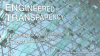 Engineered_transparency