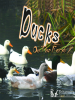 Ducks_on_the_Farm