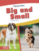 Big_and_Small