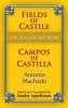 Fields_of_Castile_Campos_de_Castilla