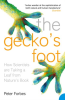 The_Gecko_s_Foot