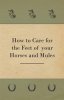 How_to_Care_for_the_Feet_of_your_Horses_and_Mules