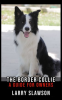 The_Border_Collie