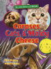 Corpses__Cats__and_Moldy_Cheese