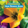 Investigating_How_Flowers_Grow