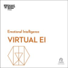 Virtual_EI