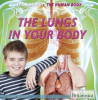 The_Lungs_in_Your_Body
