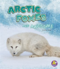 Arctic_Foxes_Are_Awesome