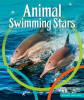 Animal_Swimming_Stars