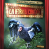 The_Bizarre_California_Condor