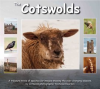 The_Cotswolds