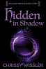 Hidden_in_Shadow