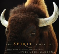 The_Spirit_of_Healing