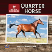 Quarter_Horse