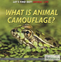 What_Is_Animal_Camouflage_