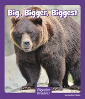 Big__Bigger__Biggest