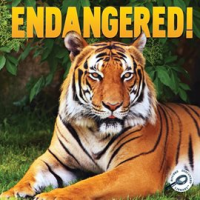 Endangered_