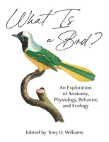 What_Is_a_Bird_