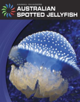 Australian_Spotted_Jellyfish