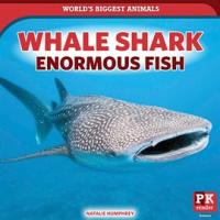 Whale_Shark__Enormous_Fish