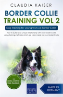 Dog_Training_for_Your_Grown-up_Border_Collie