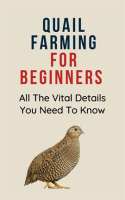 Quail_Farming_for_Beginners__All_the_Vital_Details_You_Must_Know