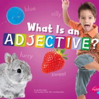 What_Is_an_Adjective_