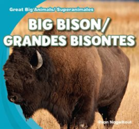 Big_Bison___Grandes_bisontes
