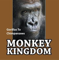 Monkey_Kingdom__Gorillas_To_Chimpanzees