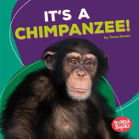 It_s_a_Chimpanzee_