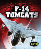F-14_Tomcats