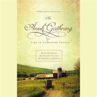 An_Amish_Gathering