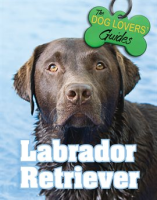 Labrador_Retriever