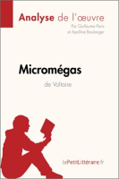 Microm__gas_de_Voltaire__Analyse_de_l_oeuvre_