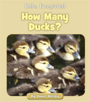 How_Many_Ducks_