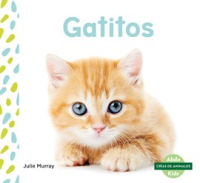 Gatitos__Kittens_