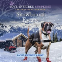 Snowbound_Escape