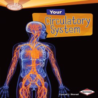 Your_Circulatory_System
