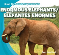 Enormous_Elephants___Elefantes_enormes