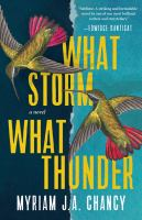 What_storm__what_thunder