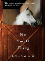 No_small_thing