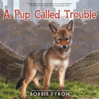 A_Pup_Called_Trouble