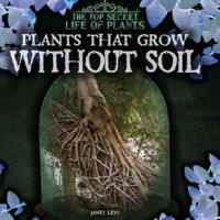 Plants_That_Grow_Without_Soil