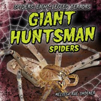 Giant_Huntsman_Spiders