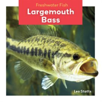 Largemouth_Bass