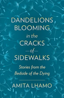 Dandelions_Blooming_in_the_Cracks_of_Sidewalks